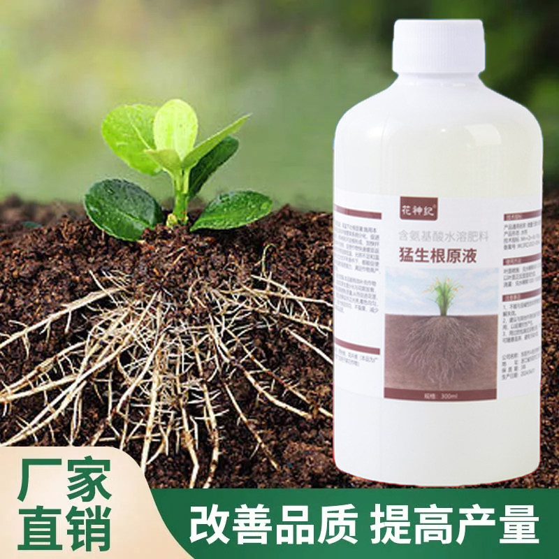 快速生根液通用型扦插花卉月季