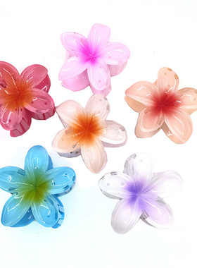 极速Hair Flower Clip Clips HawaiiaDn Plumeria Beach Flowers