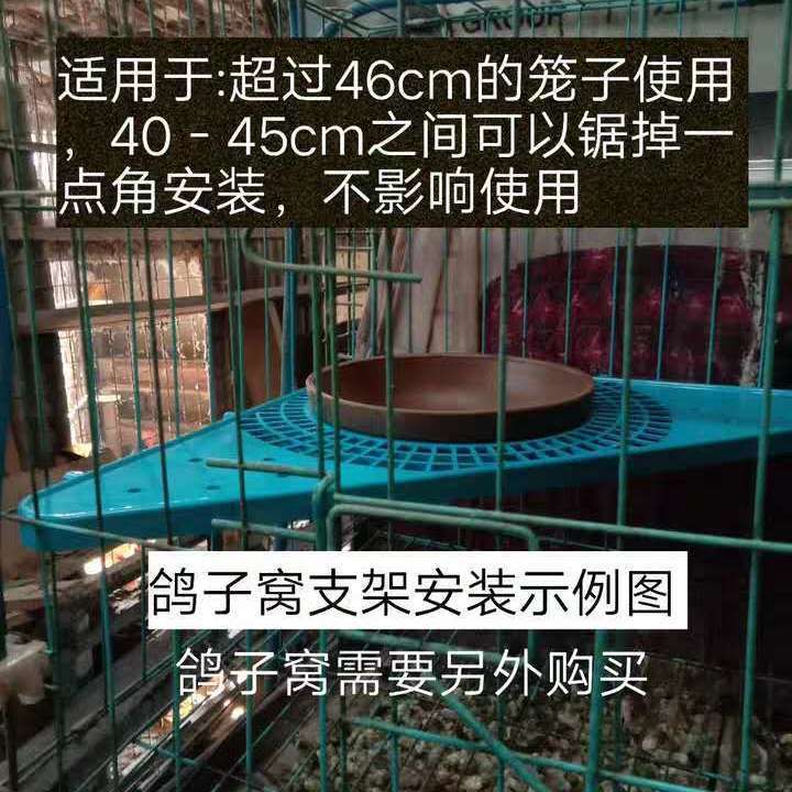 极速鸽子窝支撑架蛋盆托巢盆鸽窝蛋窝支架笼子三角架鸽Z具鸽子窝