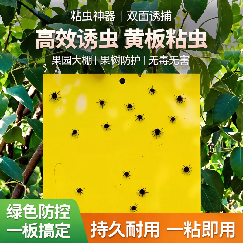 粘虫子神器粘虫板双面诱虫黄板蛾蠓蓟马小黑飞虫果树大棚园粘蝇纸