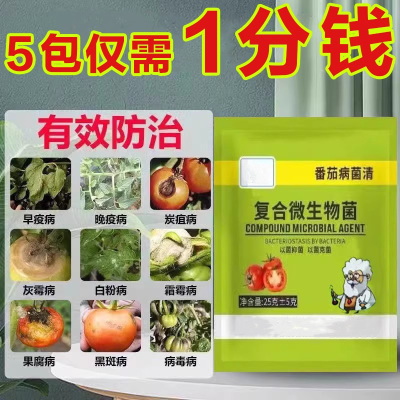 番茄病菌清卷叶病专用药