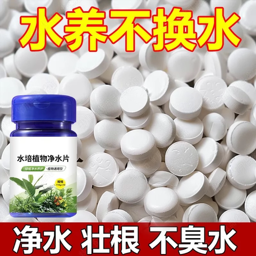 水培绿植净水片除臭消毒保鲜