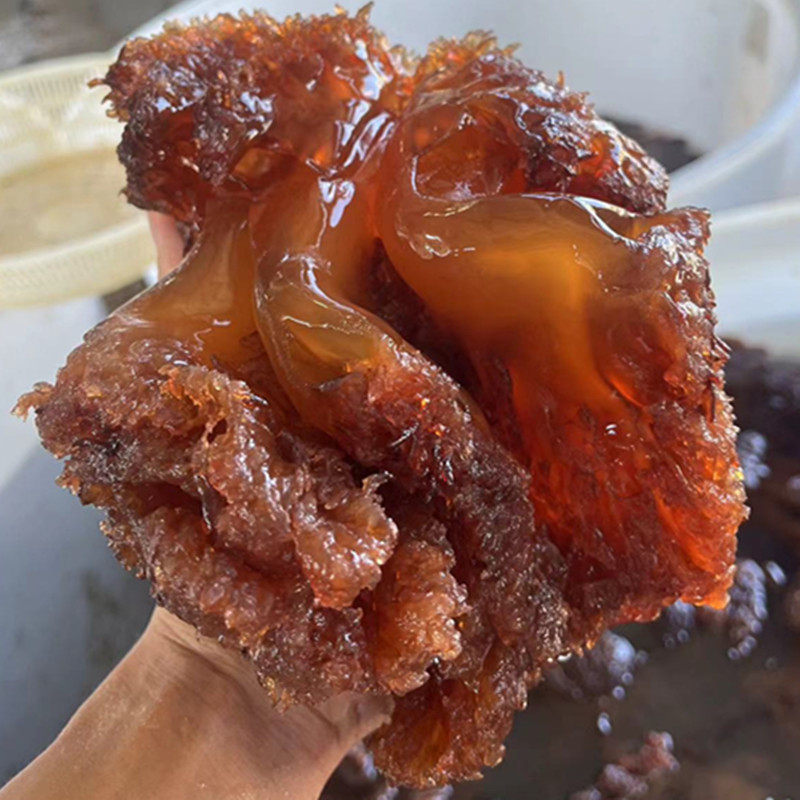 七条船舟山特级野生海蜇头桶装脆嫩可口海垫头凉拌菜盐渍海蜇头