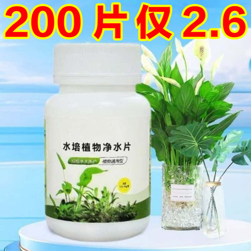 水培植物净水片除臭杀菌消毒