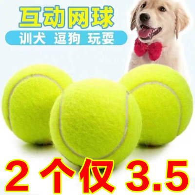 狗狗玩具球自嗨解闷神器