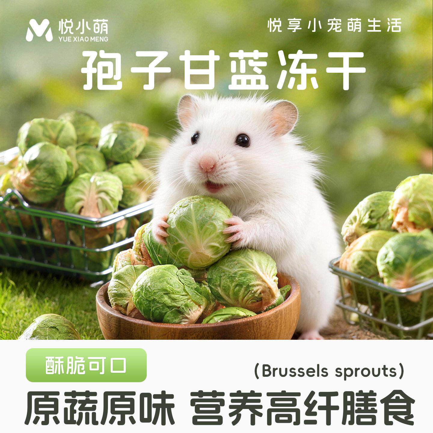 悦小萌仓鼠孢子甘蓝零食大礼包金丝熊花枝鼠营养粮食冻干包菜球菜