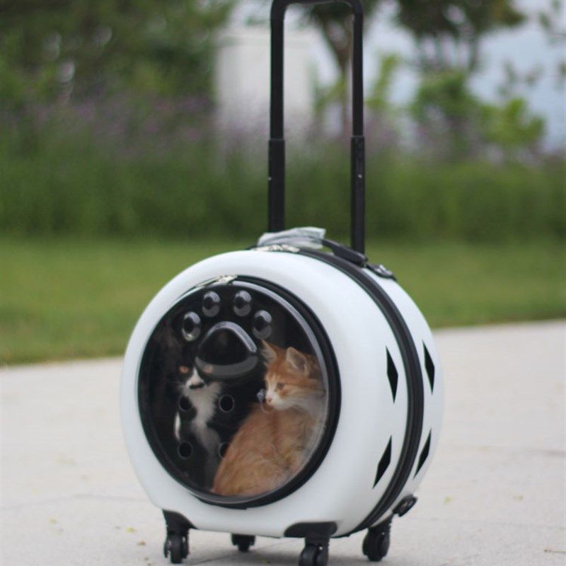 大容量宠物拉杆箱透明猫包外出便携外出箱猫狗包推车超大号行李箱,宠物/宠物食品及用品,背包/箱包,淘宝优惠券,粉丝福利购,淘宝优惠卷