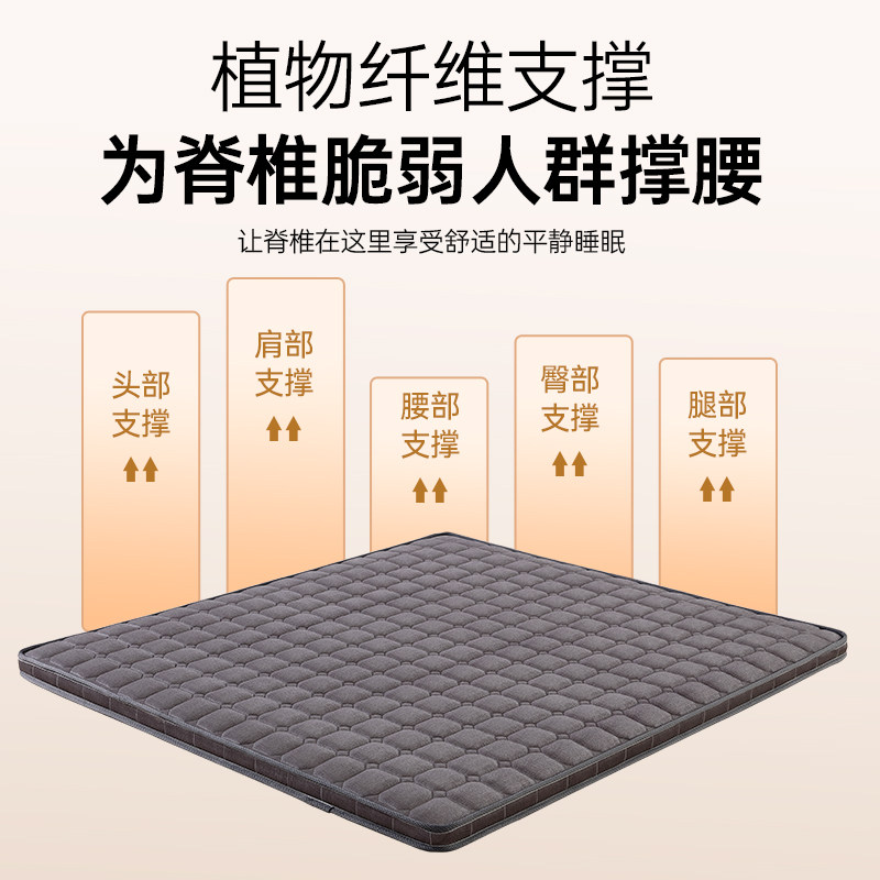 牀垫硬垫护脊加硬天然纯椰棕家用卧室1米5榻榻米薄款经济型20cm
