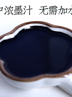 墨汁书法专用毛笔墨水墨液国画专用黑色练习墨汁2500g大容量学生