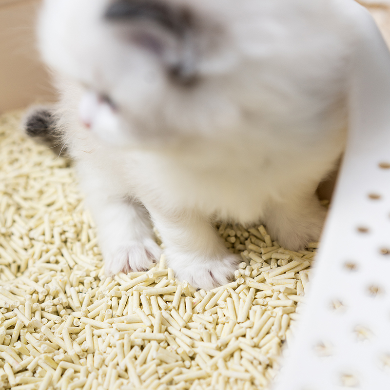 肥脸猫屋玉米豆腐猫砂8L除臭结团无尘细颗粒可冲厕猫咪用品包邮