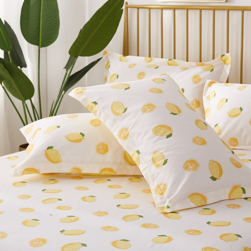 100纯棉枕套一个儿童卡通30x50cm40x60 48x74全棉枕头套可定做