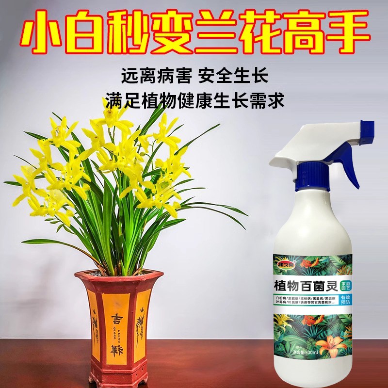 兰花专用杀菌药黑斑病治黄叶焦尖叶子根腐炭疽专用肥复活营养液剂