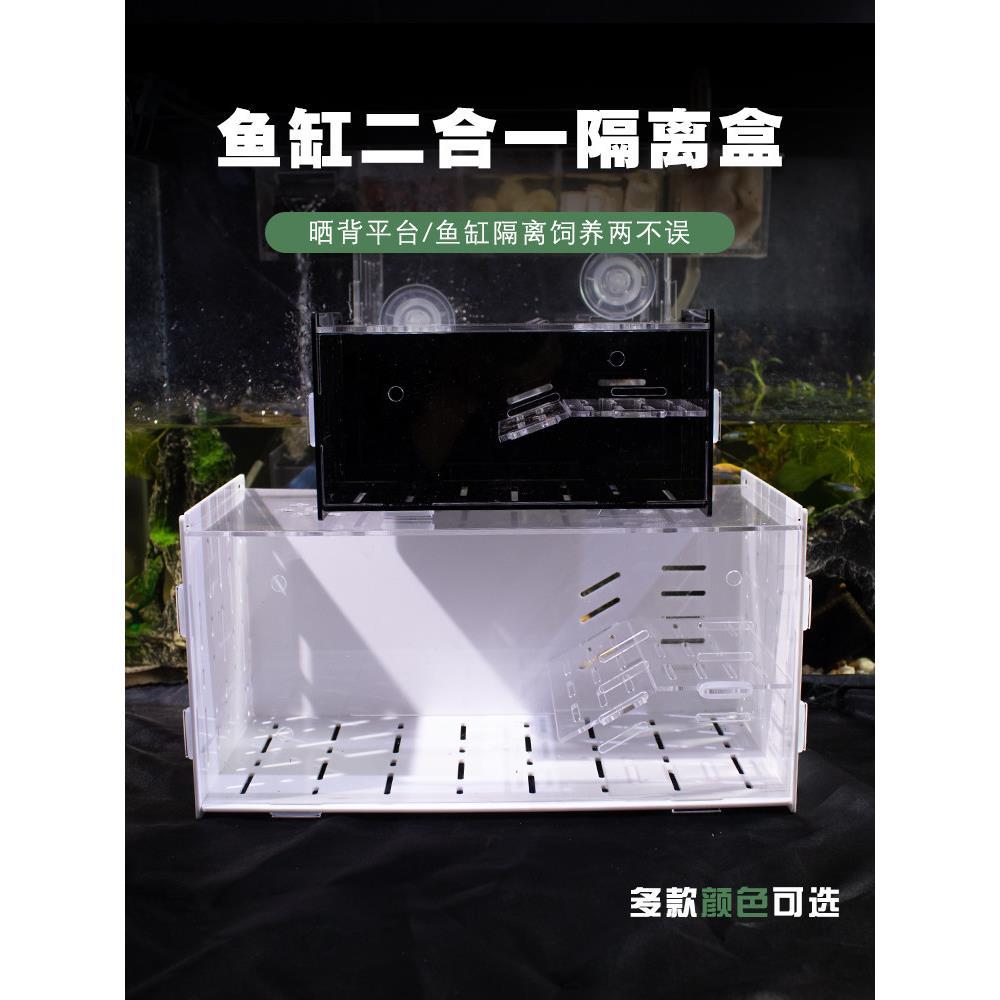 天猫正品鱼缸内隔离盒乌龟发色盒亚克力隔离盒吸盘白色黑色透明鱼图片