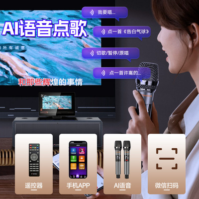 山水Q18家庭客厅电视K歌卡拉OK点歌点歌机一体机音响家用影院音箱
