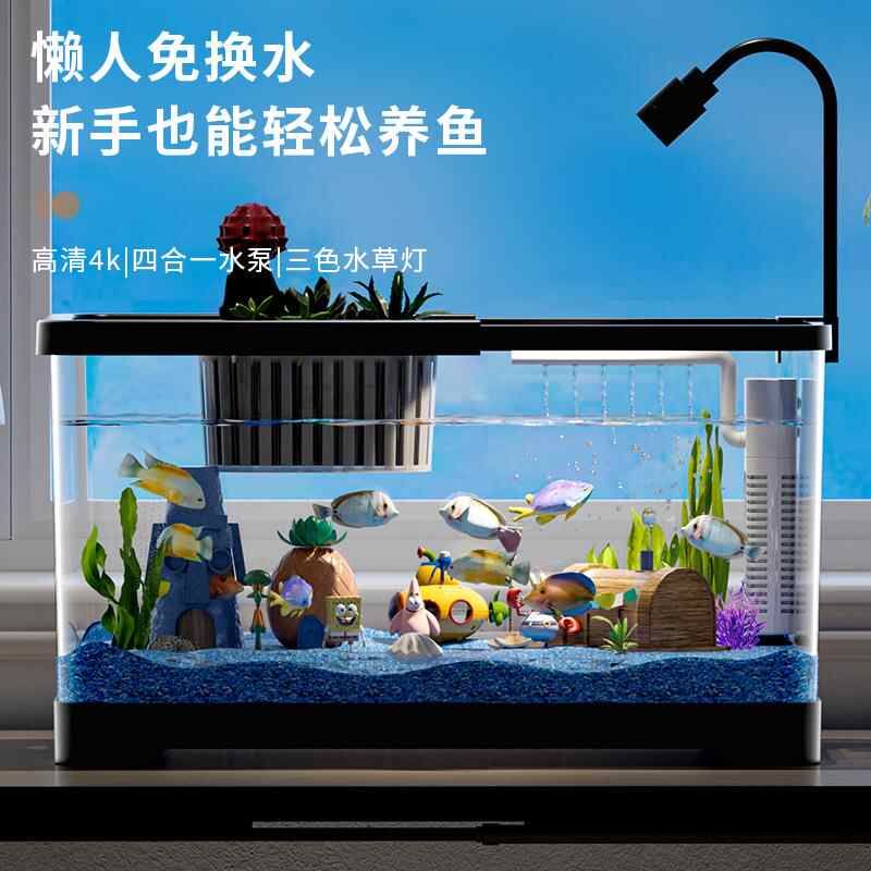 鱼缸客厅亚克力高清高透带盖透明家用小型桌面造景生态鱼缸水族箱图片