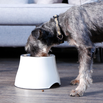 休普狗碗狗食盆狗盆宠物食盆狗狗碗狗粮饭盆保护颈椎防打翻大型犬