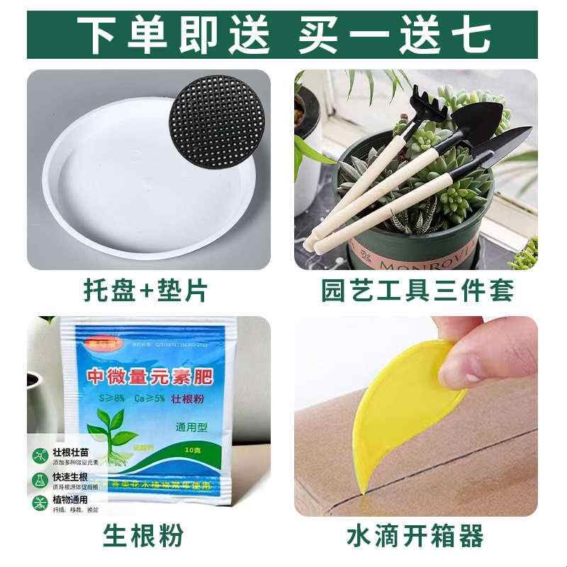 陶瓷花盆高筒大花盆中式细长款客厅高档复古龙须树金钱树专用落地图片