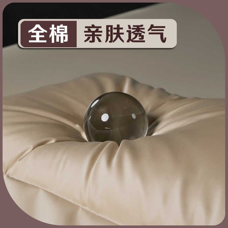 亚纯棉深睡枕pro枕头套一对酒店朵枕套单42x70全棉家用星球35x55图片