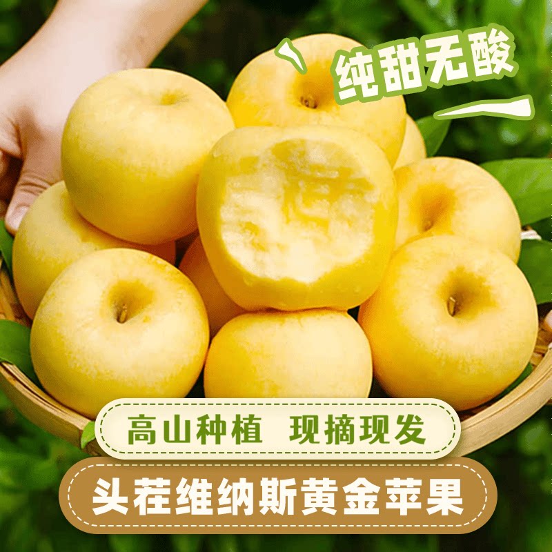 【送礼精品】维纳斯黄金苹果灵宝新鲜水果应季整箱时令顺丰礼盒