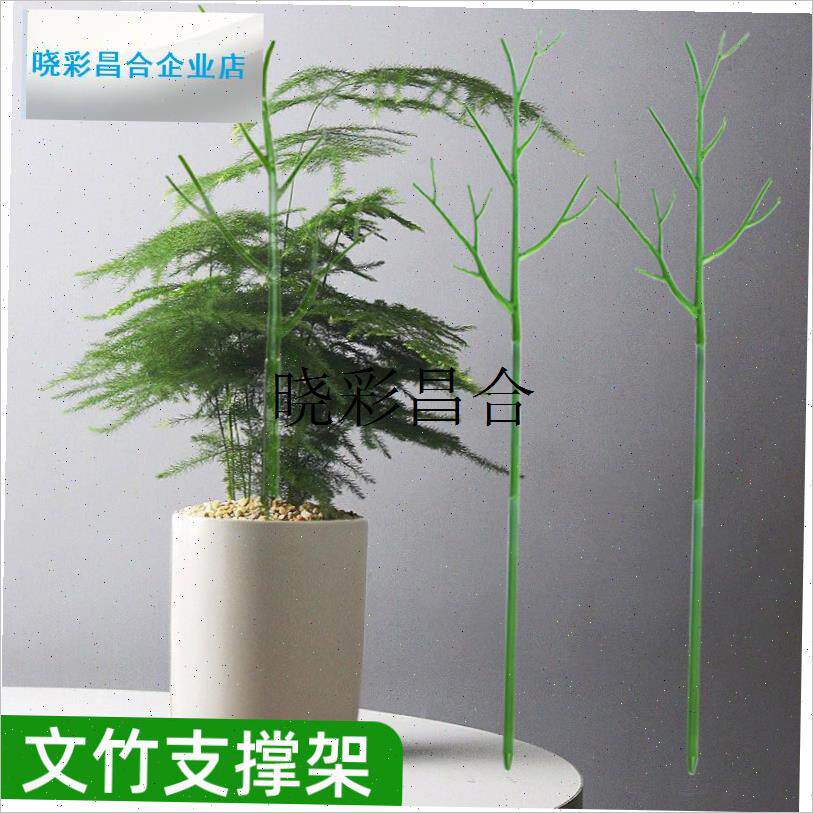文竹支撑架植物j固定防倒s伏龟背竹支撑杆绿萝爬藤花架支架园艺l