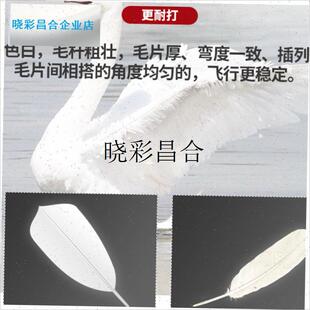 训练球羽毛球h12祇装耐打王不易打烂毛室外比赛套装训练用球l