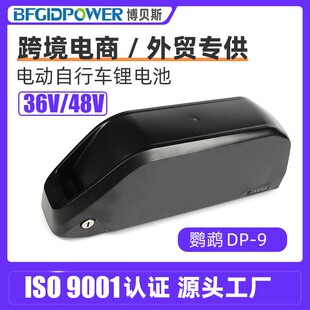 跨境电商鹦鹉款DP-9电动自行车锂电池36V48V山地自行车电池组