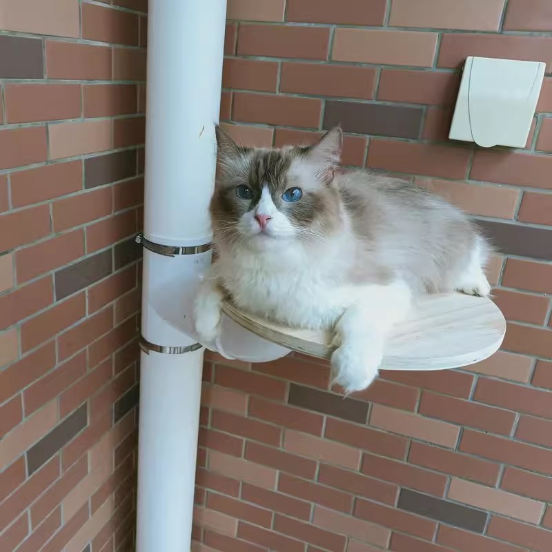 下水管排水管管PVC管改猫爬架猫跳台diy猫抓柱花架花瓶太空舱