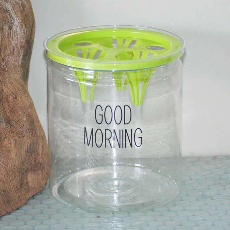 二套装水培透明塑料懒人花盆定植蓝三孔虎皮兰发财树富贵观音竹盆