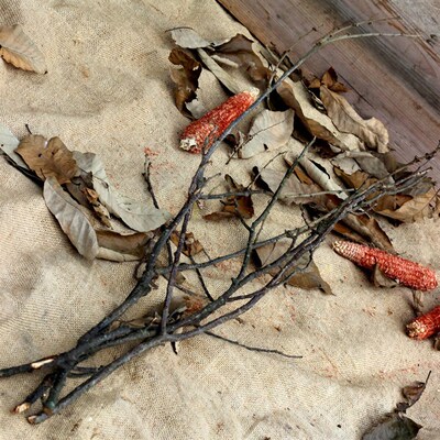 干树枝装饰禅意干枝花装饰家居摆设干枝插花枯枝干树枝分叉艺术