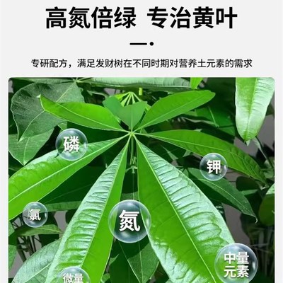 发财树营养液肥料专用肥专治烂根掉叶黄叶室内盆栽绿植物花肥通用