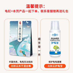 乌龟缸别墅造景过滤器家用大型水陆两用鳄龟专用乌龟饲养缸生态缸