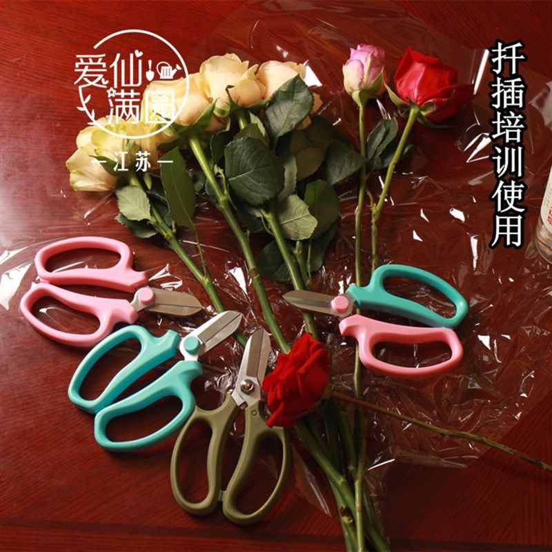 包邮花剪园艺剪刀修枝剪枝剪园艺工具插花修剪花绿植鲜花花艺剪