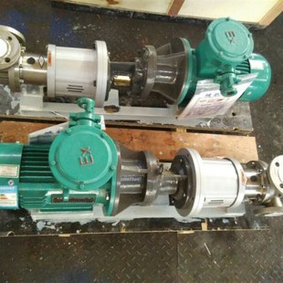 电动转子泵 齿轮泵 高粘度转子泵 不锈钢转子泵