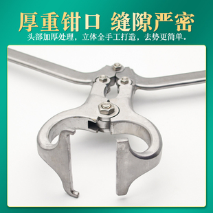 兽用去势钳猪牛羊用阉割钳不锈钢无血去势器煽羊钳牛羊夹蛋钳子
