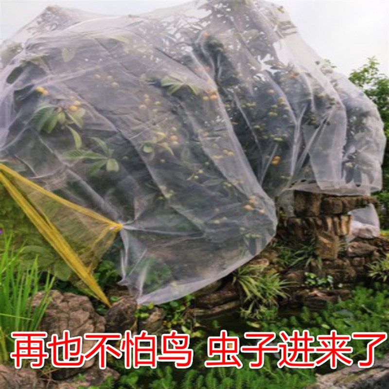防虫网罩杨梅网罩果树樱桃防风防鸟网罩多肉莲雾桃树大棚专用罩子,鲜花速递/花卉仿真/绿植园艺,其它园艺用品,淘宝优惠券,粉丝福利购,淘宝优惠卷