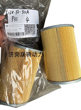 12vb.10.30 a配济柴6190/8190ZLD保养配件12v190柴燃油滤芯滤清器