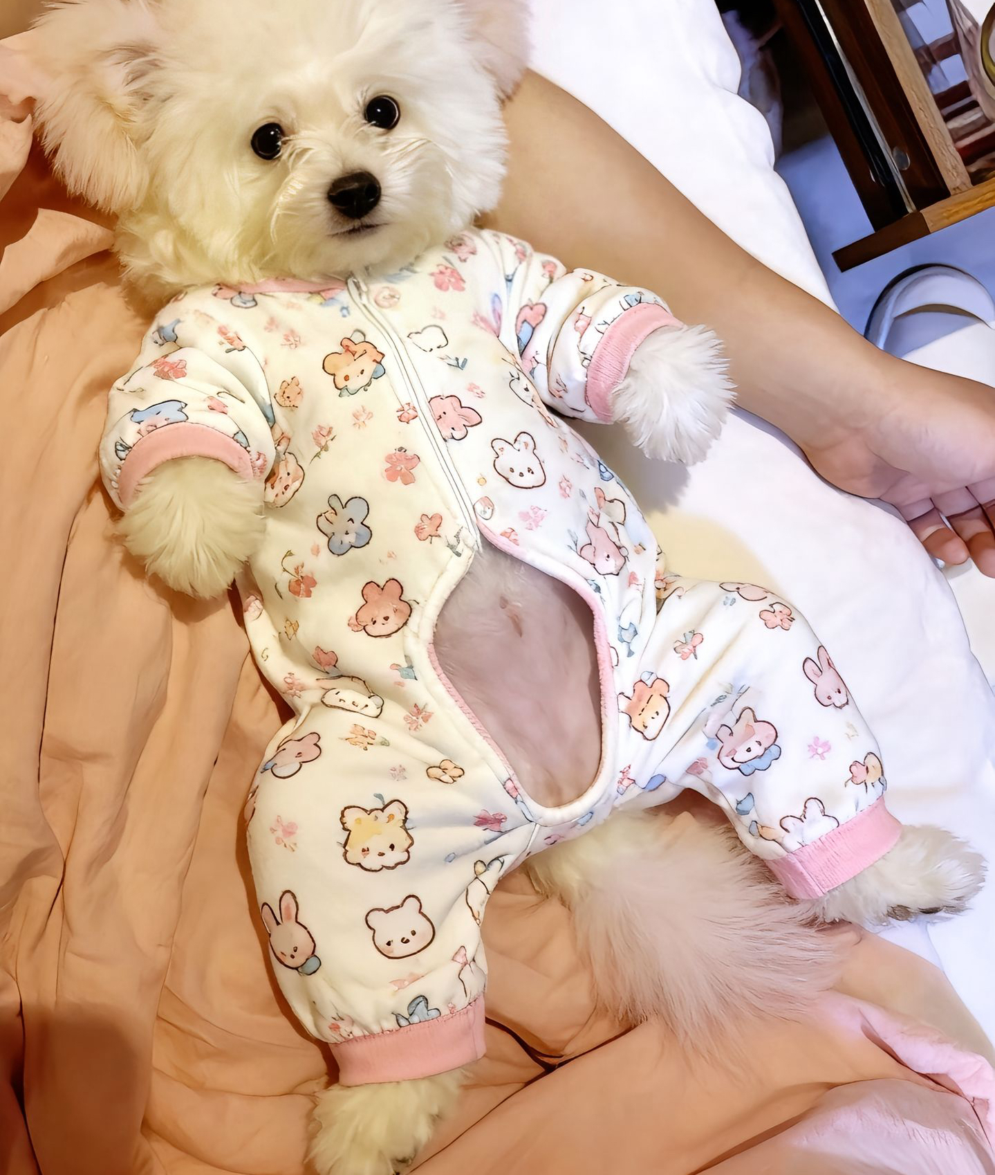 舒适四脚款超萌四脚防寒猫咪狗狗通用款可爱保暖睡衣猫新款2025