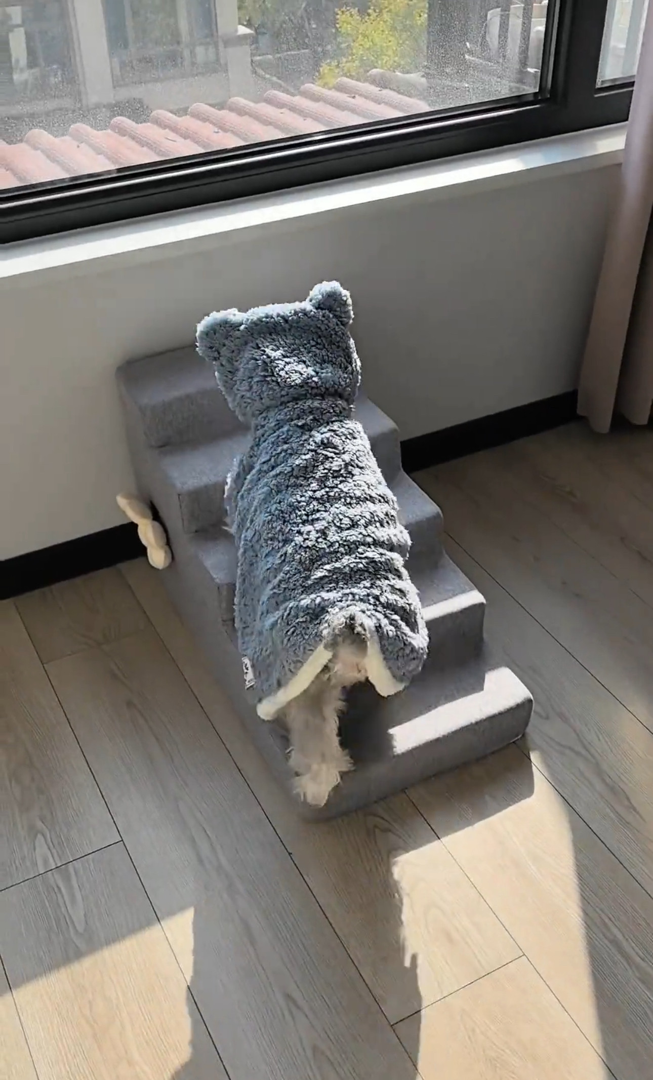 睡觉专用宠物披风衣服保暖可爱舒适小毯子狗狗厚实卡通宠物小被子