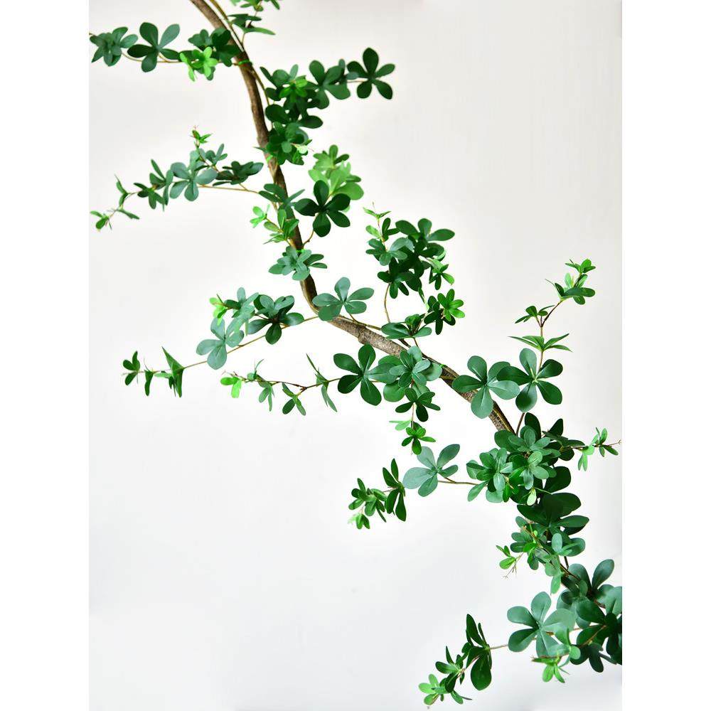 仿真招财树叶藤条绿植假花藤空调管装饰遮挡吊顶塑料藤蔓植物绿叶,鲜花速递/花卉仿真/绿植园艺,仿真绿植,淘宝优惠券,粉丝福利购,淘宝优惠卷