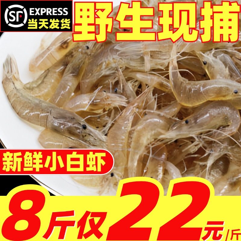 新鲜小白虾野生小海虾明虾小对虾鲜虾青虾小河虾速冻商用醉虾生鲜