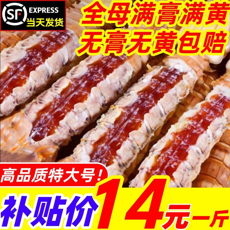 全母皮皮虾鲜活冷冻特大满黄满膏带籽虾爬非即食濑尿虾海鲜水产