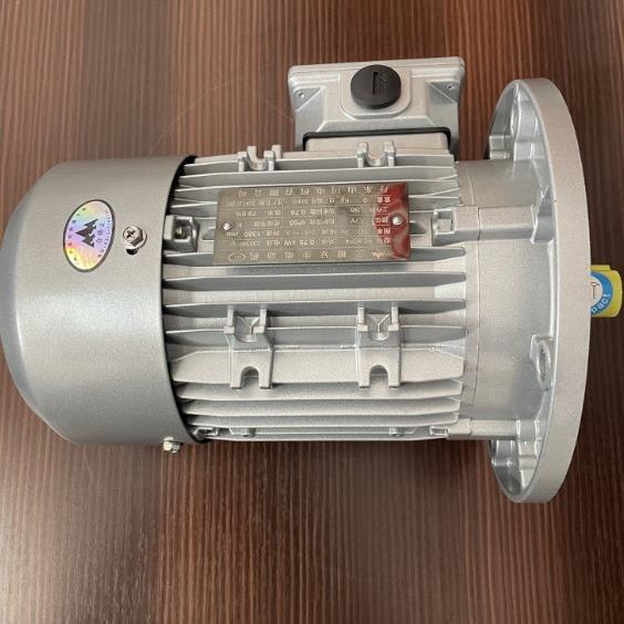 YE2/YE3/YE4-802-4-0.75KW丹东山川/赛孚特/江晟微型铝壳电机