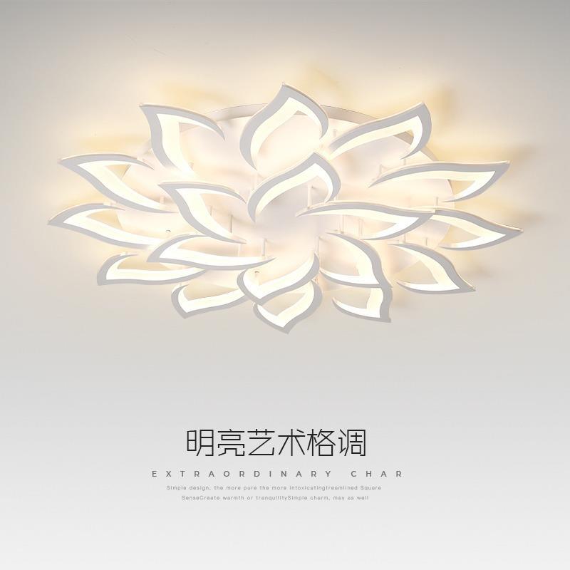 2005年爆款跨境亚马逊110V灯具LED吸顶灯现代简约家居客厅卧室灯