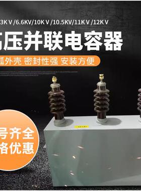 九康BAM/BFM6.6√3-50/100/200/300-1W 高压并联电力电容器系列