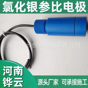 CPMS电位监测系统Agcl氯化银参比电极高纯锌参比电极 厂家直发