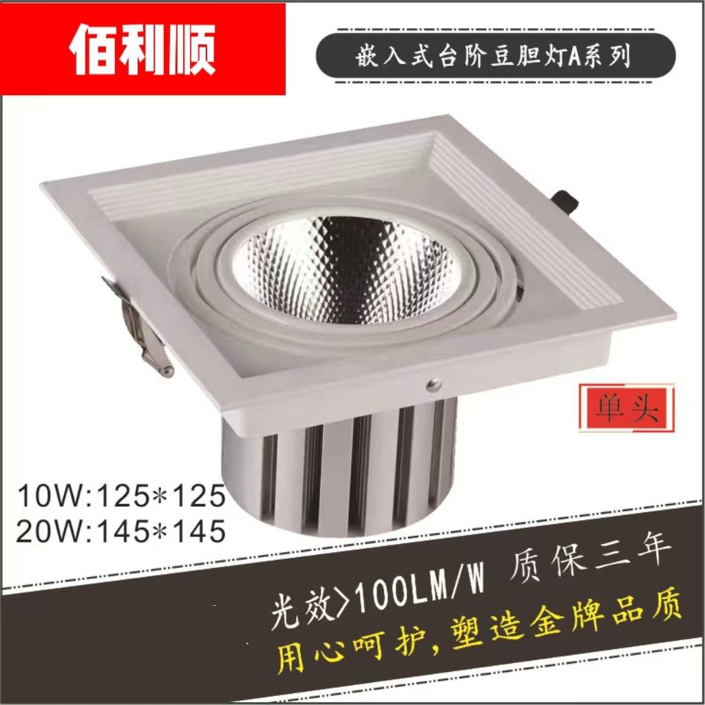 厂家供新款高亮高显嵌入式无主 工程LED 10W 20W 单双头豆胆灯