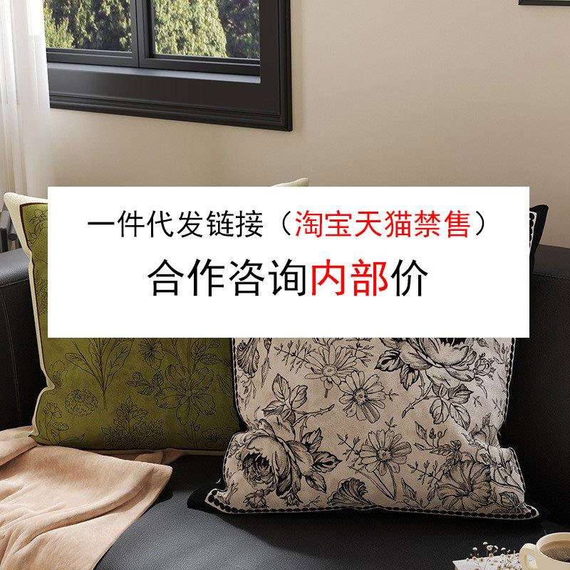 法式高级感抱枕轻奢靠枕腰靠布艺床上客厅沙发抱枕套靠垫