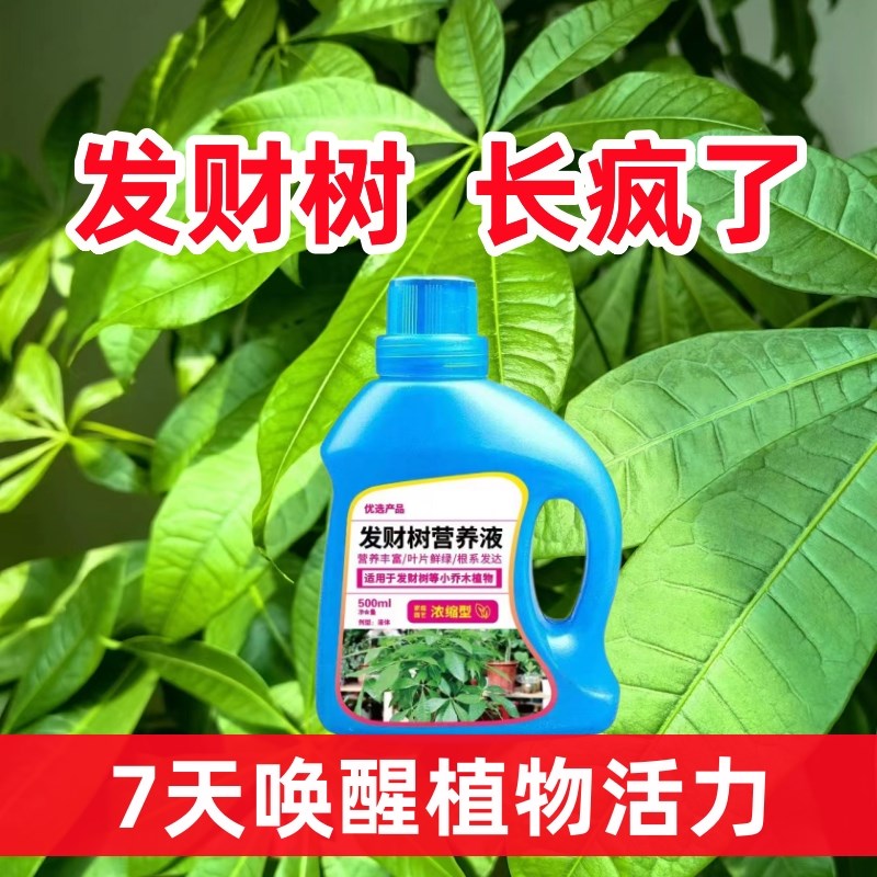 发财树专用营养液黄叶急救植物通用营养液盆栽绿植花肥发财树肥料