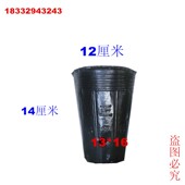 营养钵育苗袋细高型营养杯一次性塑料盆树苗提根营养袋育苗钵黑色