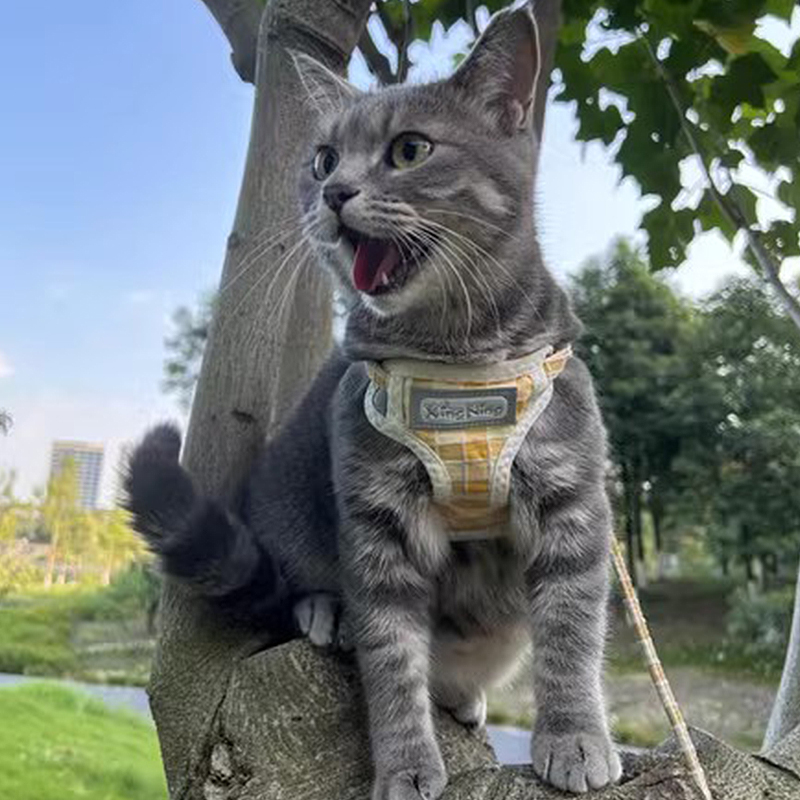 猫咪牵引绳宠物外出专用防勒脖防挣脱胸背带宠物高颜值可调节猫绳